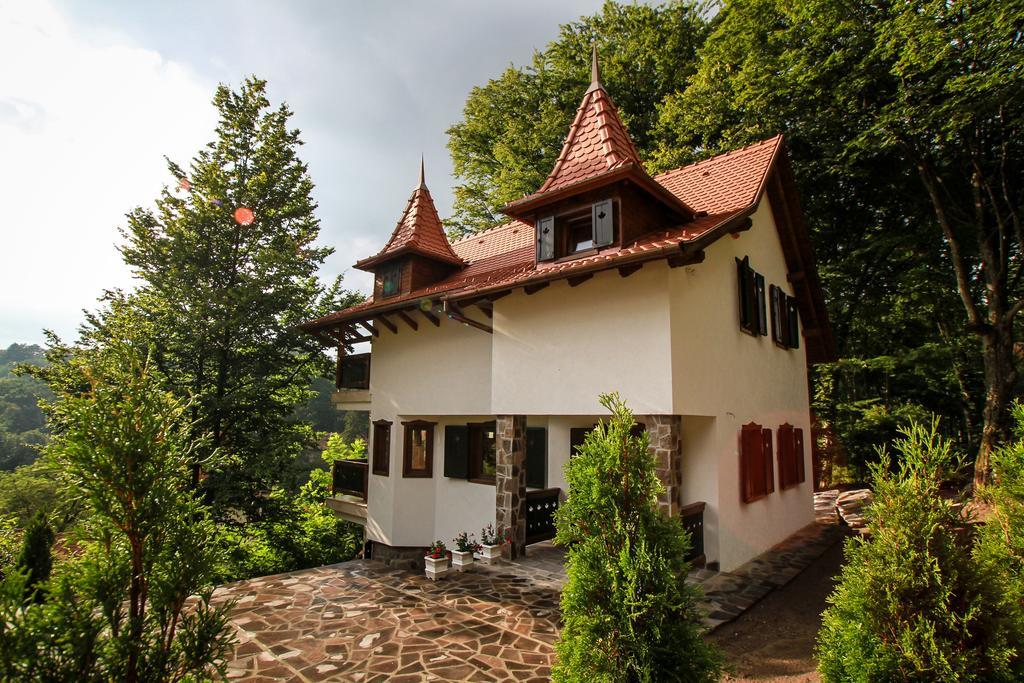Vila Vista Sovata Exterior foto
